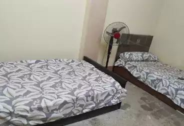 Shared Room For rent - floor 0