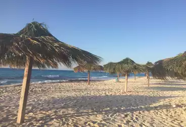 شاليهات للبيع - 3 غرف - بالدور 2