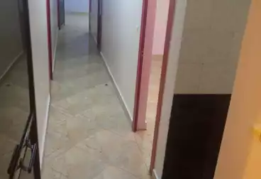 Apartments For rent - 3 rooms - floor 3
