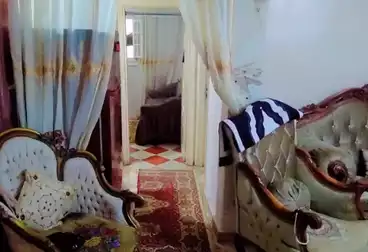 undefined undefined - 3 rooms - floor 1