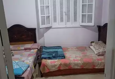 Properties For rent - 3 rooms - floor 1