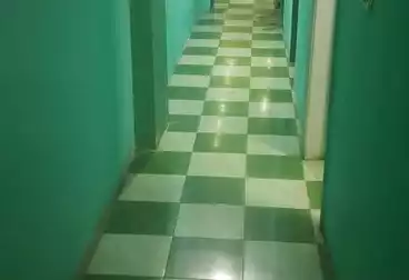 Properties For rent - 2 rooms - floor 7