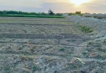 Farm For sale