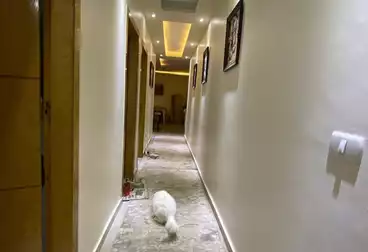 Apartment with Garden For rent - 3 rooms - floor 0