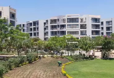 Apartments For sale - 3 rooms - floor 1