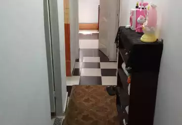 Apartments For rent - 3 rooms - floor 4