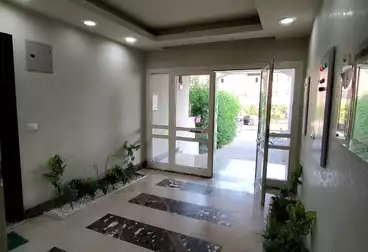 Apartments For rent - 3 rooms - floor 1