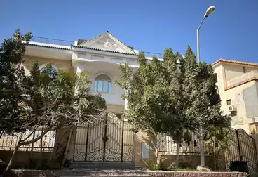 Apartments For rent - 3 rooms - floor 1