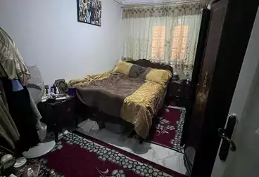 شقق للبيع - 2 غرف - بالدور 2