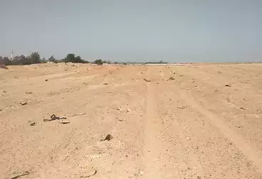 Farm For sale