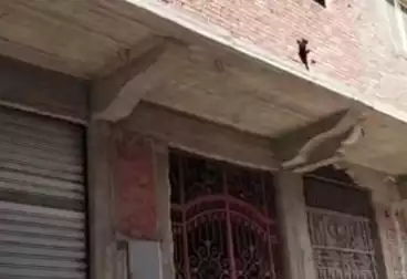 House / Home For sale - 3 rooms