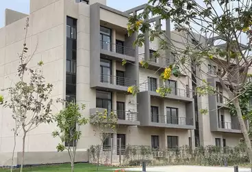 Apartments For sale - 3 rooms - floor 1