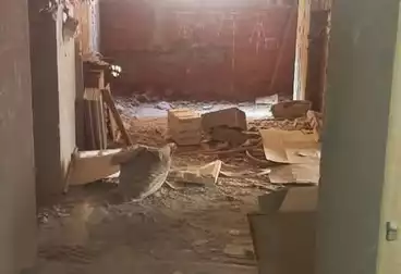 Apartments For sale - 3 rooms - floor 1