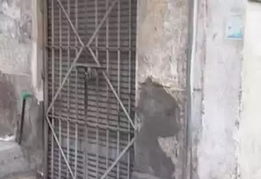 تجاري للبيع - بالدور 0