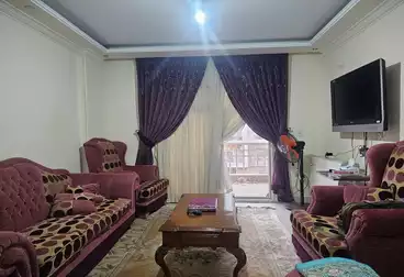 شقق للبيع - 2 غرف - بالدور 2