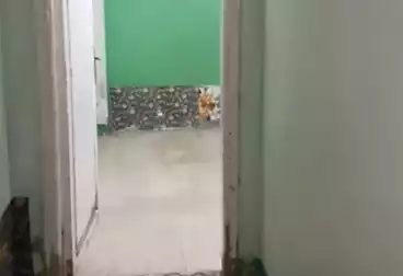 Apartments For rent - 3 rooms - floor 5