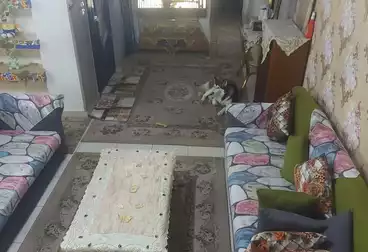 Apartments For sale - 3 rooms - floor 2