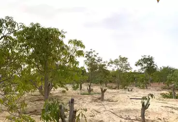 Farm For sale
