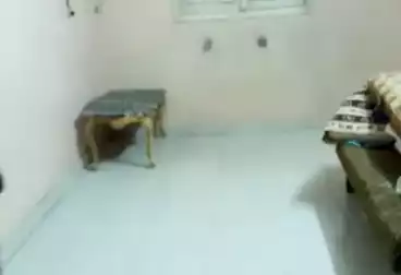 undefined undefined - 3 rooms - floor 4