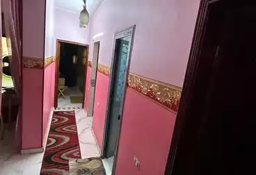 Apartments For rent - 2 rooms - floor 6