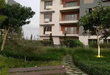 Apartments For rent - 1 rooms - floor 4