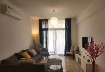 Furnished Apartment For rent