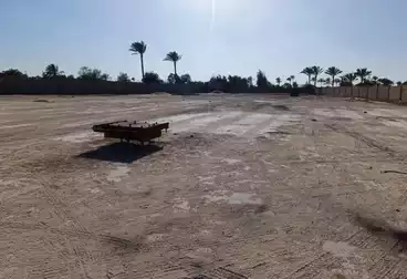 Land For rent