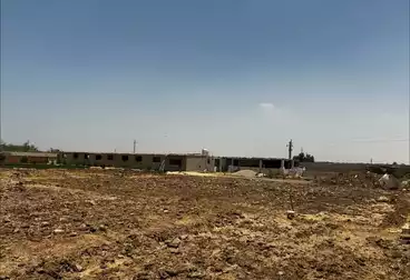Farm For sale