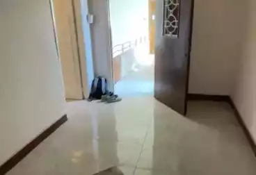 Apartments For rent - 2 rooms - floor 6