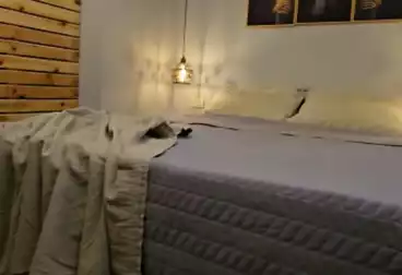 Furnished Apartment For rent - 2 rooms - floor 1