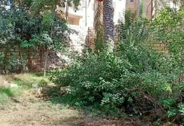 أراضي للبيع