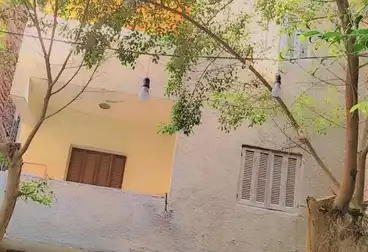 Building For sale - 3 rooms