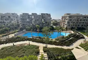 شقق للإيجار