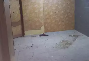 Apartments For sale - 2 rooms - floor 2