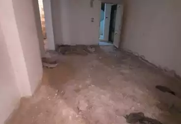 undefined undefined - 3 rooms - floor 1