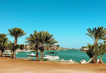 Apartments For rent - 2 rooms - floor 0