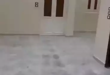 Apartments For sale - 3 rooms - floor 1