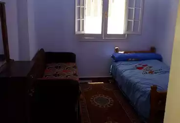 شقق مفروشة للإيجار - 2 غرف - بالدور 2