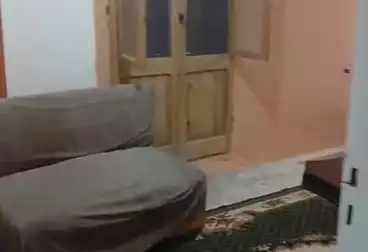 شقق للبيع - 2 غرف - بالدور 0