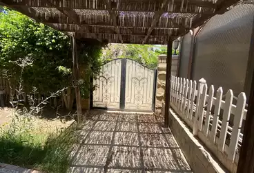 Separate Villa For rent - 4 rooms