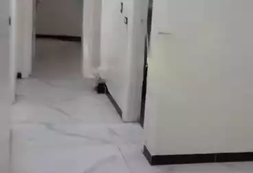 undefined undefined - 3 rooms - floor 1