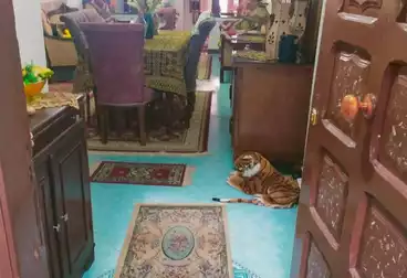 undefined undefined - 2 rooms - floor 6