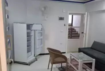 Furnished Apartment For rent - 1 rooms - floor 2