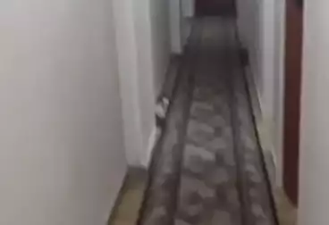 undefined undefined - 3 rooms - floor 4