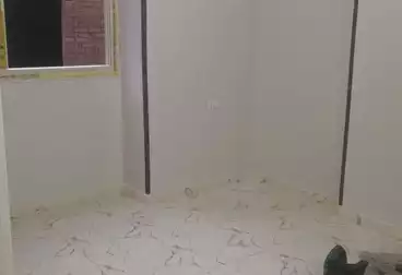 Properties For rent - 2 rooms - floor 6