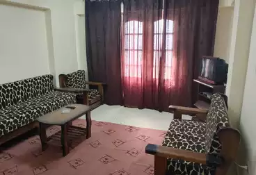Properties For rent - 2 rooms - floor 5