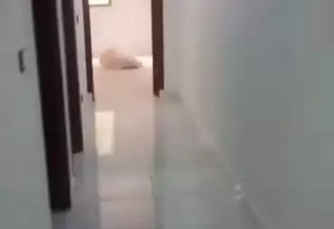 Properties For sale - 2 rooms - floor 1