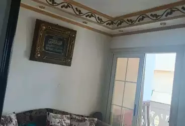 شقق للبيع - 2 غرف - بالدور 0