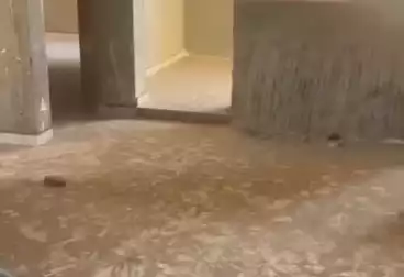 undefined undefined - 3 rooms - floor 7