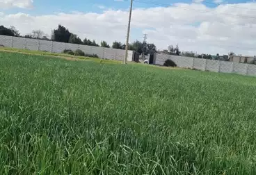 Farm For sale